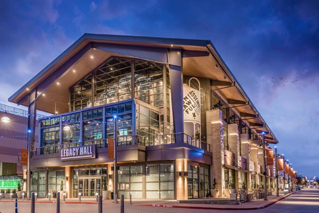 Tree service in Plano TX