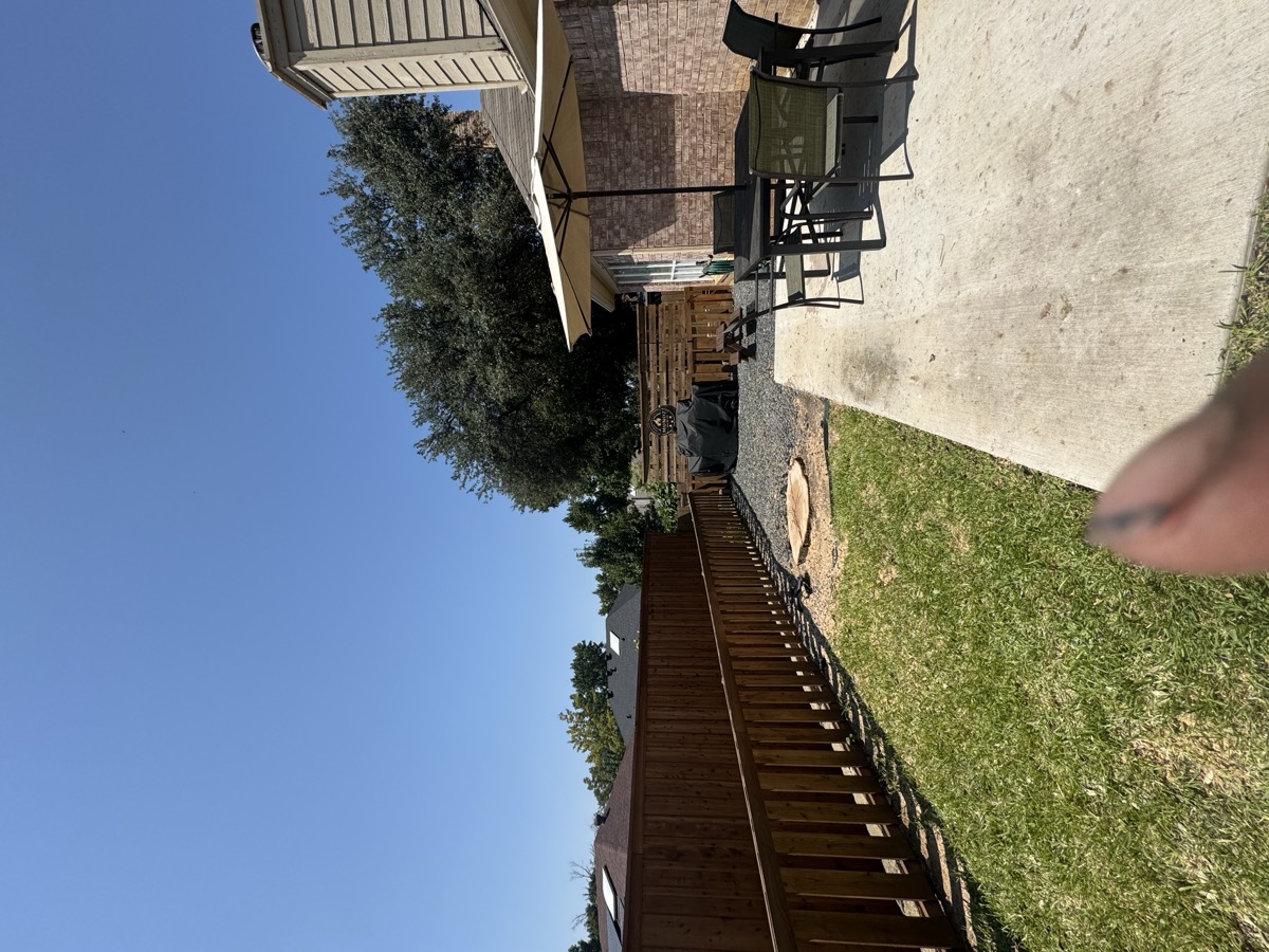 Clean backyard after tree removal