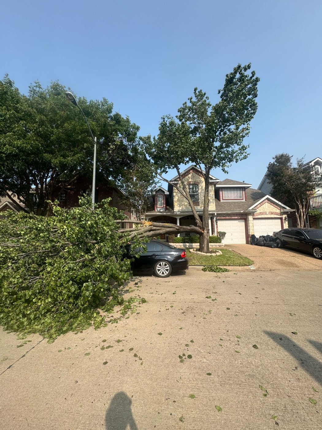 Storm-damaged tree down in a DFW front yard before removal and stump grinding